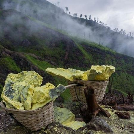 Ijen Basecamp & Homestay Ketapang  Exteriör bild