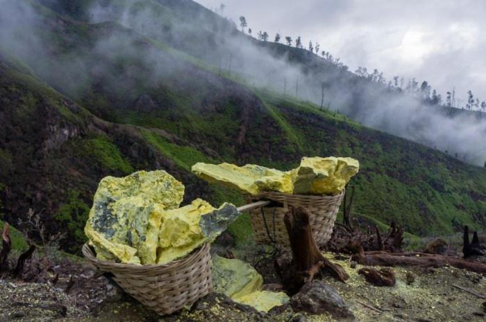 Ijen Basecamp & Homestay Ketapang  Exteriör bild